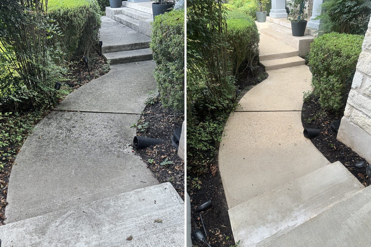 A curved concrete front walkway leading up steps to a porch in the Rivercrest neighborhood of Westlake, TX, between shrubs and mulch beds. On the left the concrete is grey and dull with dry leaves in the beds beside it, on the right the same walkway is an even pale tan and the beds are clear of leaves.